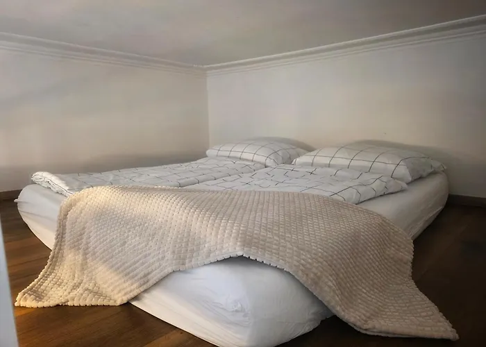 Small With Loft Bed 아파트 *