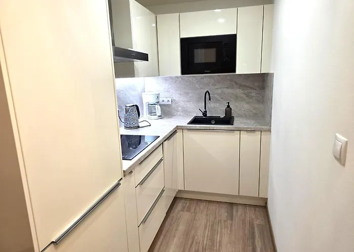 Small With Loft Bed 아파트 프라하