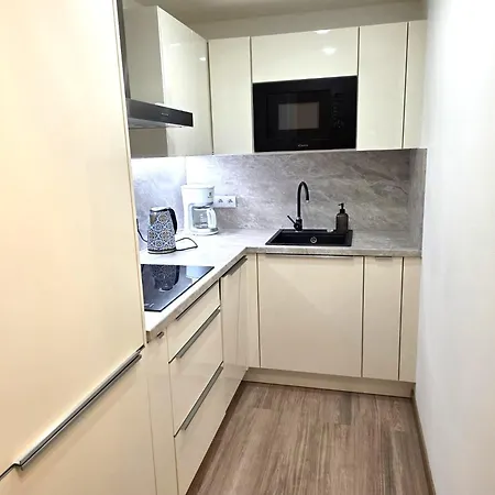 Small With Loft Bed דירה פראג